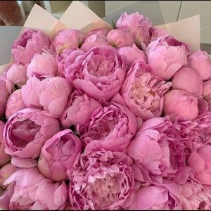 Meet your Posher, Ally